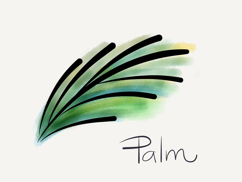illustration of Palm Leaf
