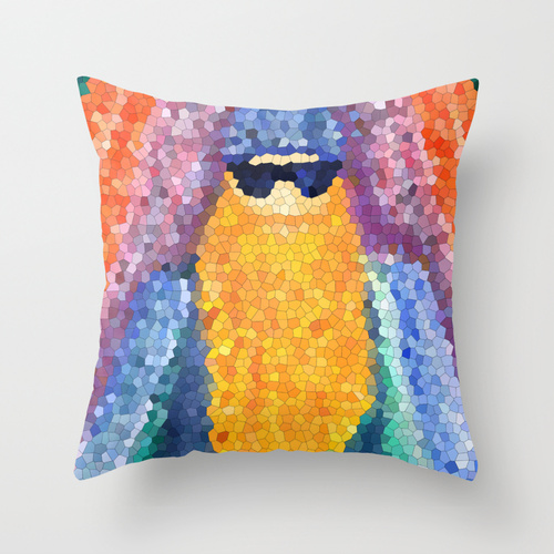 throw pillow